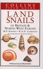 Land Snails of Brit  Nw Europe