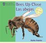 Bees Up Close/ Las Abejas