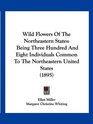 Wild Flowers Of The Northeastern States Being Three Hundred And Eight Individuals Common To The Northeastern United States