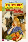 Ponyhof Kleines Hufeisen Bd9 Wolkenmhne hat Geburtstag