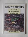 Ground beetles in the Yorkshire Museum