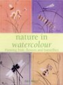 Nature in Watercolour Painting Fruit Flowers and Butterflies
