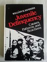 Juvenile Delinquency Causes Patterns and Reactions