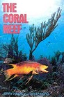 The Coral Reef