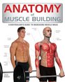 Anatomy of Muscle Building A Bodybuilder's Guide to Increasing Muscle Mass