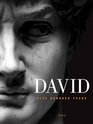 David Five Hundred Years