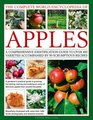 The Complete World Encyclopedia of Apples A Comprehensive Identification Guide To Over 400 Varieties Accompanied By 90 Scrumptious Recipes