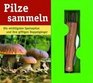 Pilze sammeln