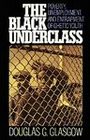 Black Underclass: Poverty, Unemployment, and Entrapment of Ghetto Youth (Jossey-Bass Social and Behavioral Science Series)