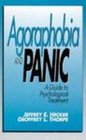 Agoraphobia and Panic A Guide to Psychological Treatment
