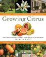 Growing Citrus The Essential Gardener's Guide