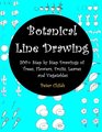 Botanical Line Drawing 200 Step by Step Drawings of Trees Flowers Fruits Leaves and Vegetables The Complete Workbook of Botanical Line Drawing