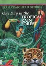 One Day in the Tropical Rain Forest