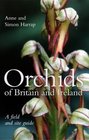 Orchids of Britain and Ireland A Field and Site Guide