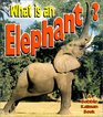 What Is an Elephant? (Science of Living Things)