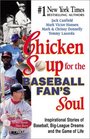 Chicken Soup for the Baseball Fan's Soul  Inspirational Stories of Baseball BigLeague Dreams and the Game of Life