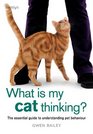 What is My Cat Thinking The Essential Guide to Understanding Your Pet