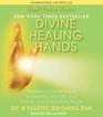 Divine Healing Hands Experience Divine Power to Heal You Animals and Nature and to Transform All Life