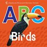 ABC Birds