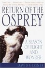Return of the Osprey  A Season of Flight and Wonder