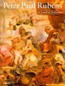 Peter Paul Rubens A Touch of Brilliance