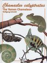 Chamaeleo calyptratus  The Yemen Chameleon NEW REVISED 2nd EDITION