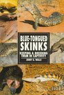 BlueTongued Skinks Keeping  Breeding Them in Captivity