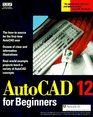 Autocad Release 12 for Beginners