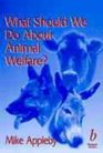 What Should We Do About Animal Welfare