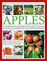 The Illustrated World Encyclopedia of Apples A comprehensive identification guide to over 400 varieties accompanied by 60 scrumptious recipes