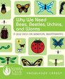 Why We Need Bees Beetles Urchins and Worms A Knowledge Cards Quiz Deck on Beneficial Invertebrates