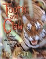 Tooth and Claw Animal Adventures in the Wild