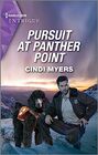 Pursuit at Panther Point (Eagle Mountain: Critical Response, Bk 2) (Harlequin Intrigue, No 2171)