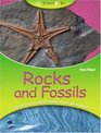 Rocks and Fossils