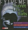 The Secret Life of Rats Rise of the Rodents