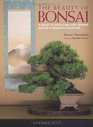 The Beauty of Bonsai: A Guide to Displaying and Viewing Nature's Exquisite Sculpture