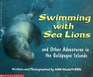Swimming With Sea Lions  And Other Adventures in the Galapagos Islands