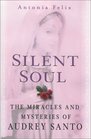 Silent Soul  The Miracles And Mysteries Of Audrey Santo