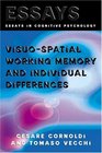 VisuoSpatial Working Memory and Individual Differences