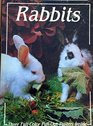 RabbitsPoster Book