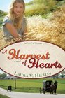 A Harvest of Hearts (Amish of Seymour, Bk 2)