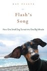 Flash's Song: How One Small Dog Turned into One Big Miracle.