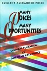 Many Voices Many Opportunities Cultural Pluralism  American Arts Policy