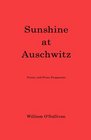 Sunshine at Auschwitz