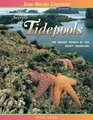 The Secrets of Tidepools The Bright World of the Rocky Shoreline