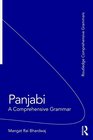 Panjabi A Comprehensive Grammar