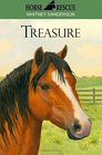 Horse Rescue Treasure