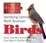 Identifying Common North American Birds