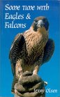 Some Time With Eagles  Falcons