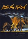 Into the Wind Wild Horses of North America